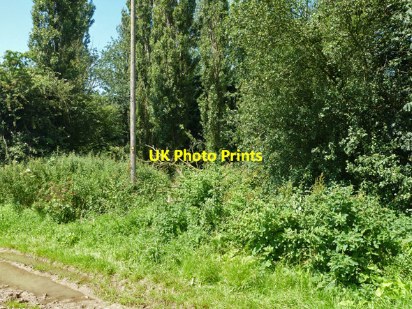 Photo 6"x4" Footpath, Baddow Park Farm Baddow Park c2012