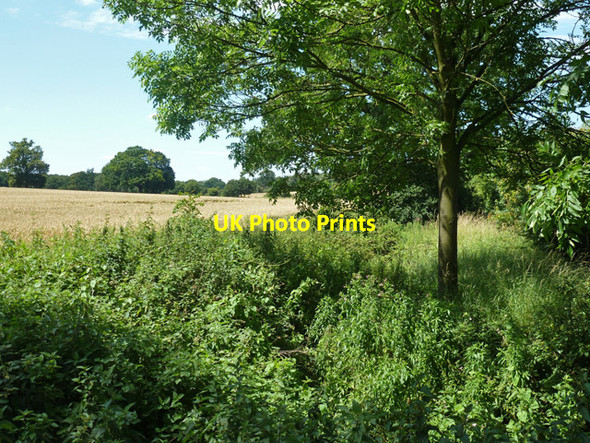 Photo 6"x4" Small stream under West Hanningfield Road West Hanningfield c2012