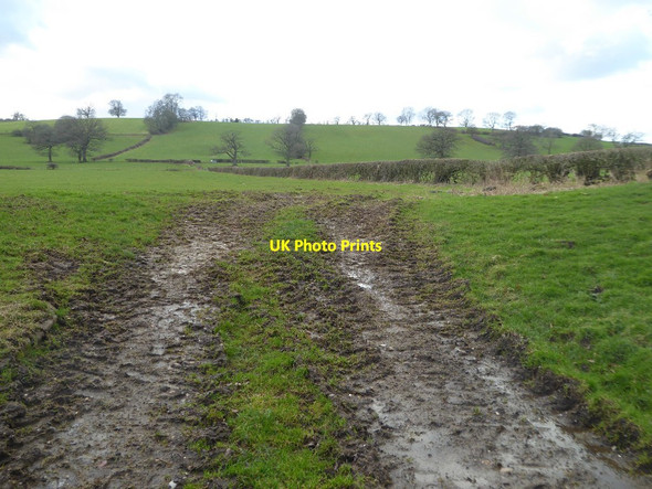 Photo 6"x4" Farmland near Weatheroak Hill Weatheroak Hill c2018
