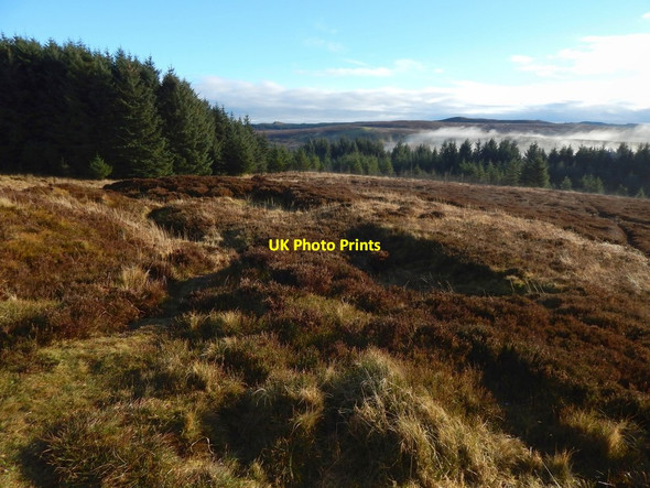 Photo 6"x4" Pappert Hill: a hollow beside the trig point Bonhill c2018