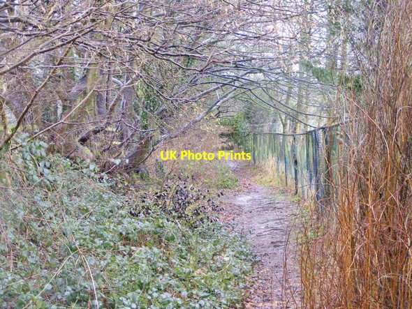 Photo 6"x4" Northway Path Sedgley c2018