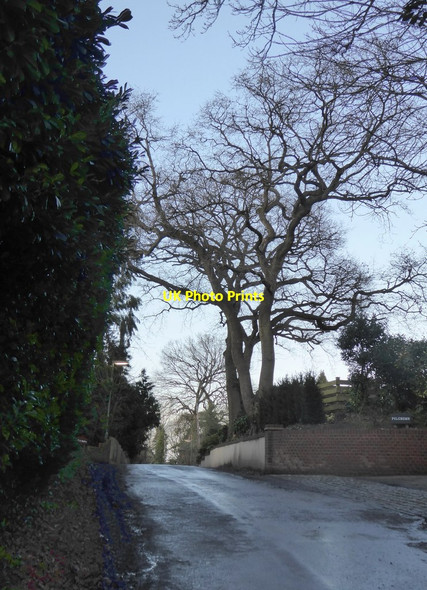 Photo 6"x4" Ebbisham Lane Tadworth c2018