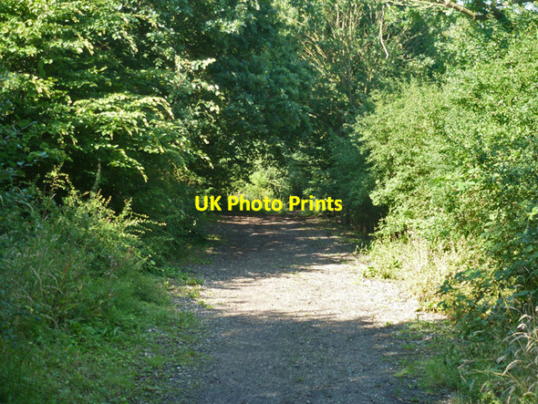 Photo 6"x4" Bridleway towards Swan Lane and Margaretting Tye Margaretting Tye c2012