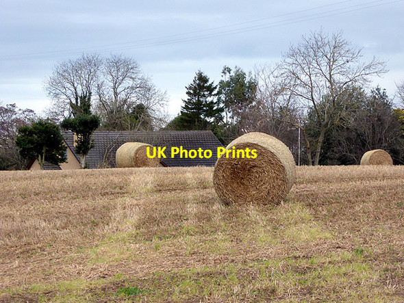 Photo 6"x4" Hay bales near Forres Forres c2018