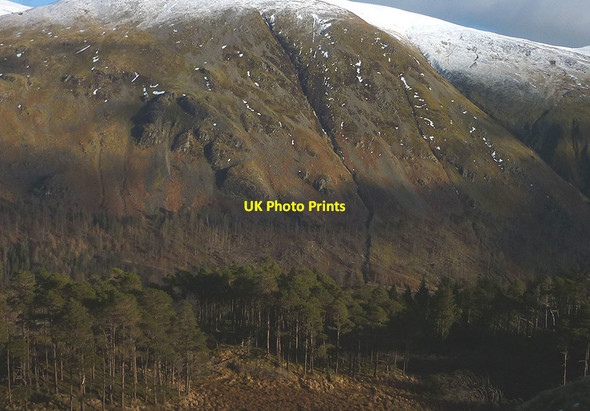 Photo 6"x4" The upper edge of the Thirlmere forest Legburthwaite c2018