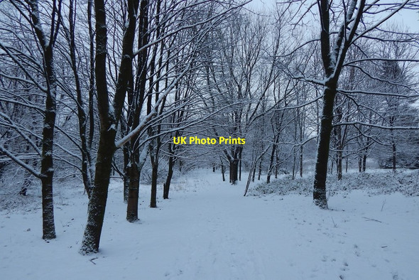 Photo 6"x4" Strathleven Walk Alexandria c2018