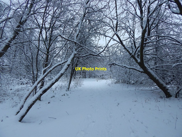 Photo 6"x4" Strathleven Walk Alexandria c2018 P1