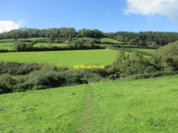 Photo 6"x4" View across the valley south of Salcombe Regis Sidmouth c2017