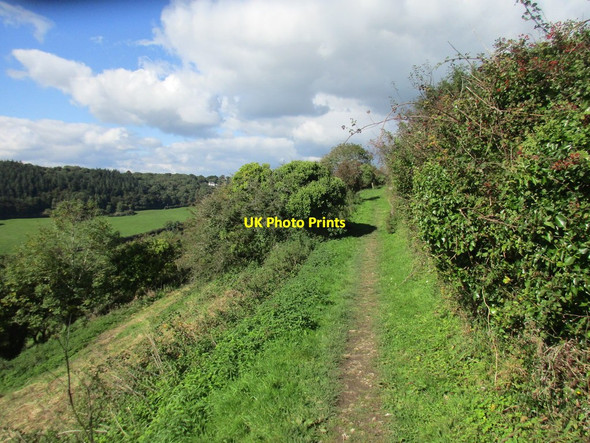 Photo 6"x4" Footpath above Salcombe Mouth Sidmouth c2017