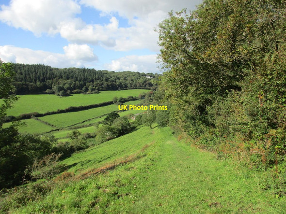 Photo 6"x4" Steep path to Coombe Wood Farm Sidmouth c2017