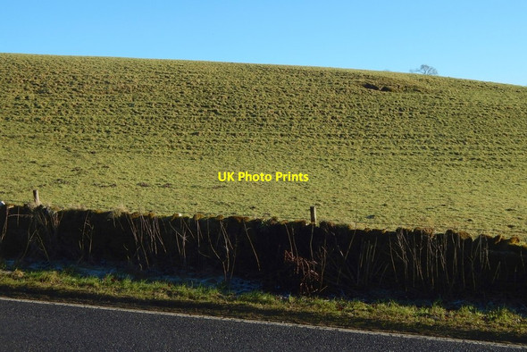 Photo 6"x4" Field beside Stirling Road Balloch\/NS3982 c2018