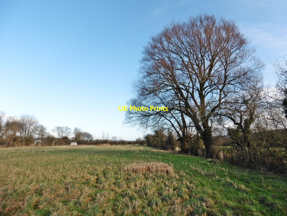 Photo 6"x4" Field, east of 'Riverside' Banwell c2018