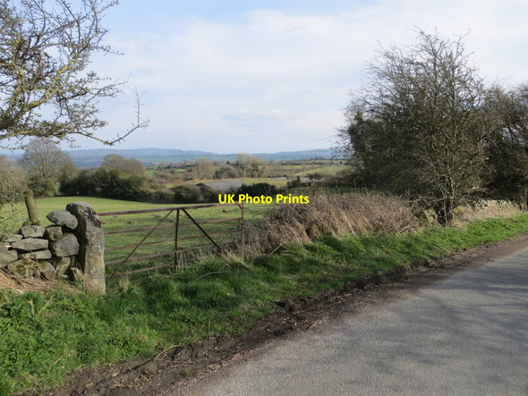 Photo 6"x4" Field gate in Ffordd Glyndwr\/Glyndwr Road, Nercwys Mold\/Yr Wyddgrug c2014