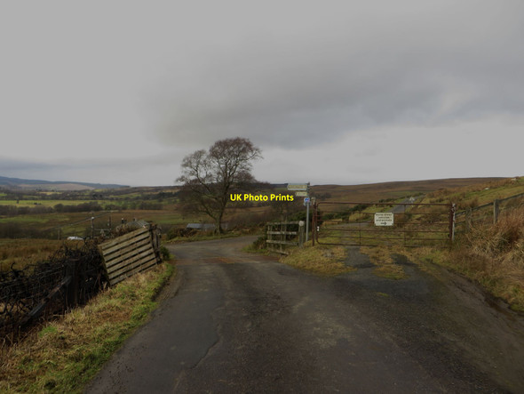 Photo 6"x4" Road junction close to Rushend Greenhaugh\/NY7987 c2018