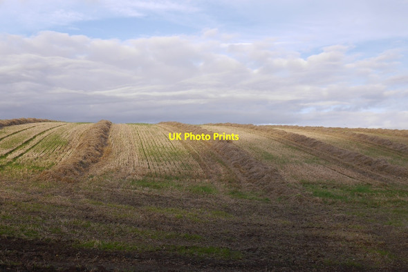 Photo 6"x4" Arable land, Gormack Easter Essendy c2017