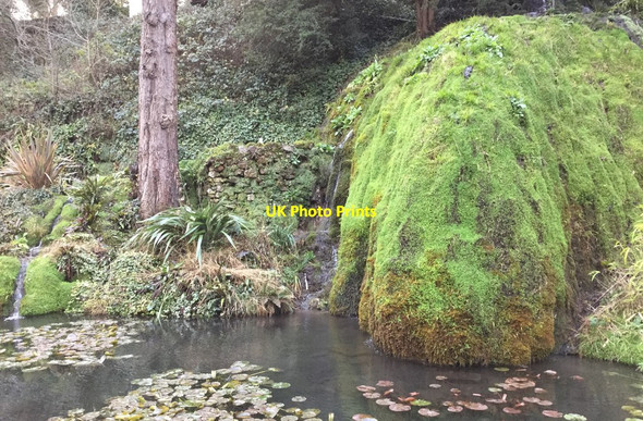 Photo 6"x4" Riverside Gardens Matlock c2018