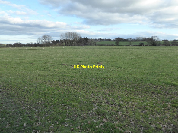 Photo 6"x4" Farmland near Luntley Bearwood\/SO3856 c2018