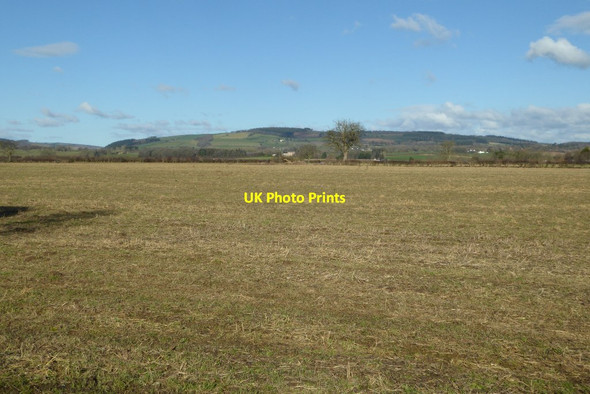 Photo 6"x4" Farmland north of Pembridge Pembridge c2018