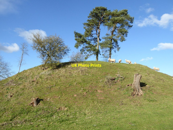 Photo 6"x4" Motte at Staunton on Arrow Staunton on Arrow c2018