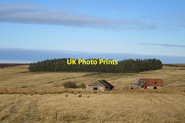 Photo 6"x4" Ruins of a Croft Netherbrae c2018