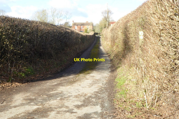 Photo 6"x4" Road to Rough Acre Horseway Head c2018