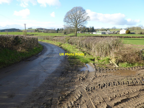 Photo 6"x4" Country road passing Upper Mowley Burcher c2018