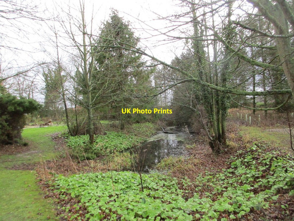 Photo 6"x4" Moat at Marton Marton\/TA1739 c2018