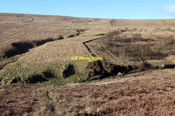 Photo 6"x4" Deciduous wood near Outerwards Reservoir Meigle\/NS1965 c2018