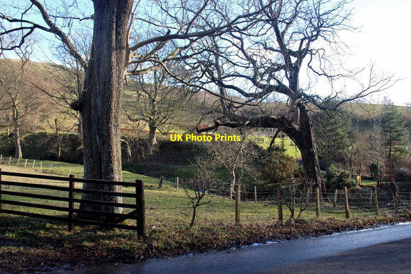 Photo 6"x4" Noddsdale Burn, Brisbane Glen Largs\/NS2059 c2018