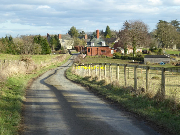 Photo 6"x4" Eywood Lane Burcher c2018