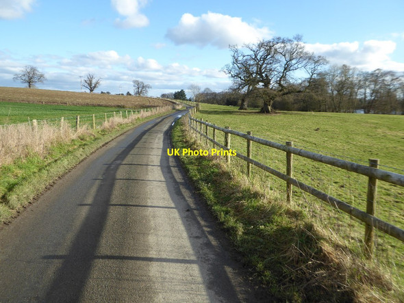 Photo 6"x4" Eywood Lane Burcher c2018