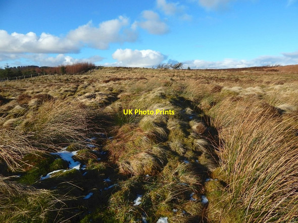 Photo 6"x4" An old boundary Arden\/NS3684 c2018