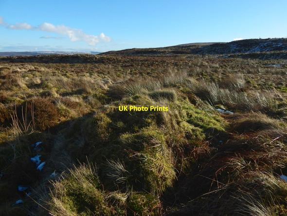 Photo 6"x4" An old boundary Arden\/NS3684 c2018