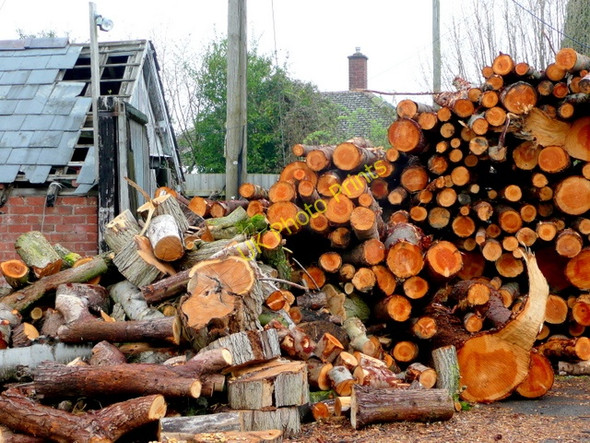 Photo 6"x4" Logs ready for processing into firewood Bodenham Moor c2009