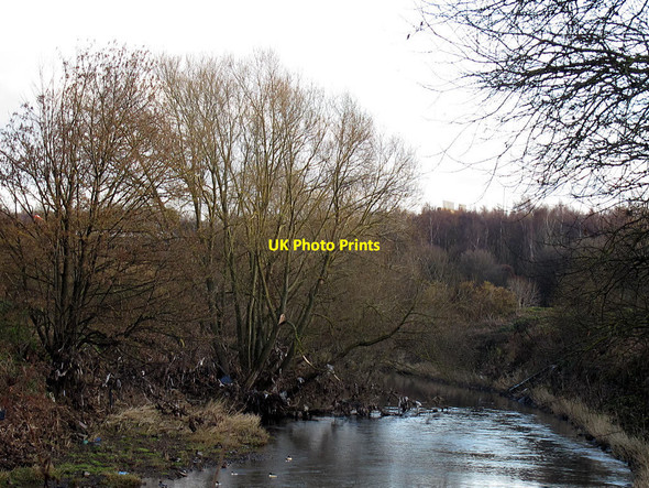 Photo 6"x4" Detritus over the river Aire Rothwell\/SE3428 c2016