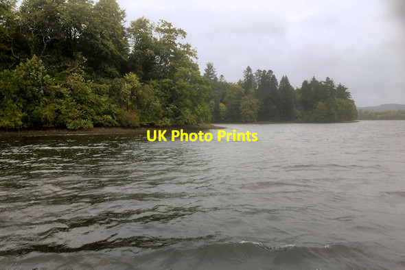 Photo 6"x4" Donegal Bay, Wooded Shore near Kinvara Donegal c2017