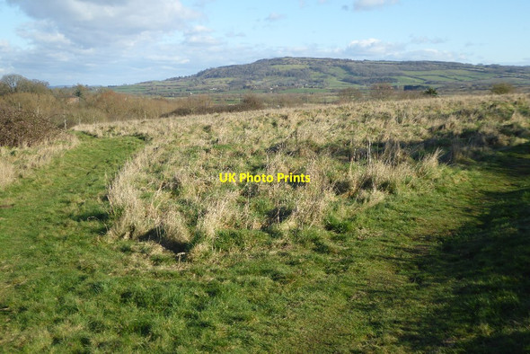 Photo 6"x4" Hillend Common Hill End\/SO9037 c2018