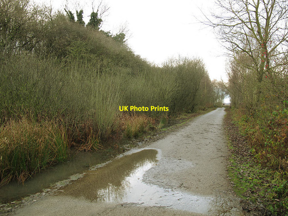 Photo 6"x4" Bullough Lane Rothwell\/SE3428 c2016