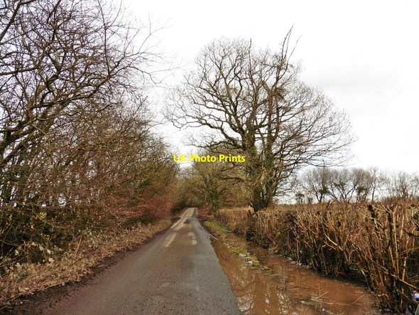 Photo 6"x4" Minor road on Landfoot Moor Templeton Bridge c2018