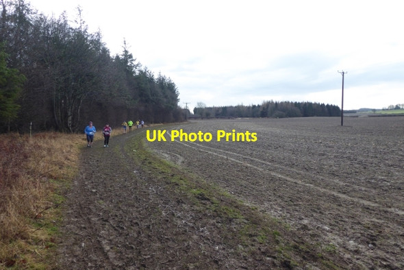 Photo 6"x4" Field to the south of the Laver Ripon c2018