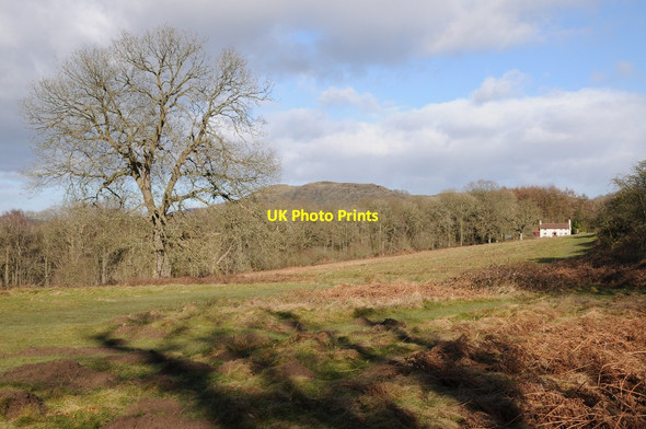 Photo 6"x4" The Malvern Hills and Peacock Villa Hollybush\/SO7636 c2018