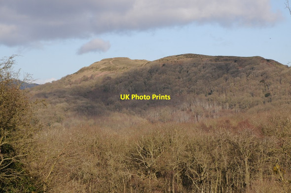Photo 6"x4" The Herefordshire Beacon and Millennium Hill Barton Court\/SO7440 c2018