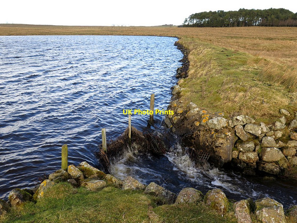 Photo 6"x4" Outlet of Newbrough Burn at Park Dam Newbrough c2018