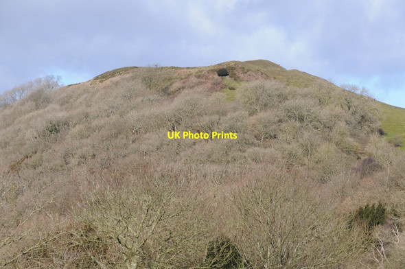 Photo 6"x4" Millennium Hill Little Malvern c2018