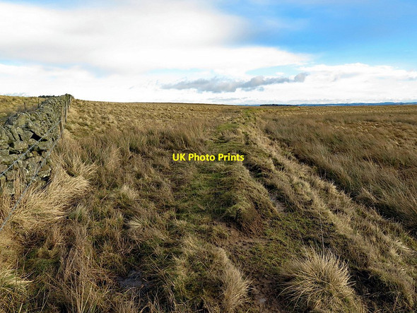Photo 6"x4" New & old boundaries north of Dam Plantation Uppertown\/NY8672 c2018