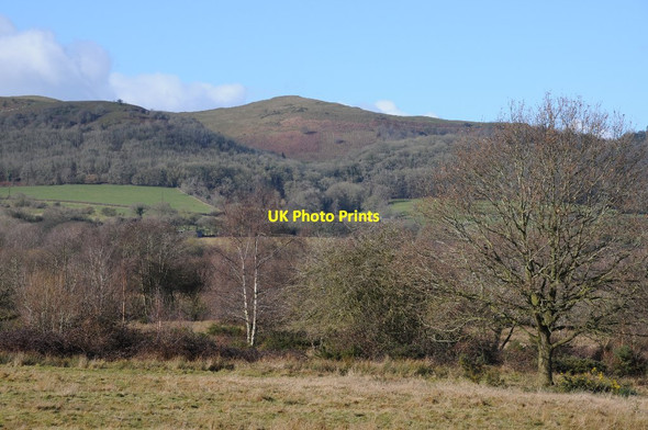 Photo 6"x4" The Herefordshire Beacon from Castlemorton Common Chandler's Cross\/SO7738 c2018