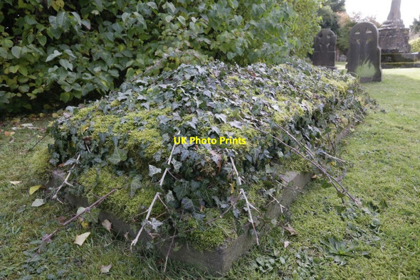 Photo 6"x4" Moss & ivy Drayton\/SU4794 c2017