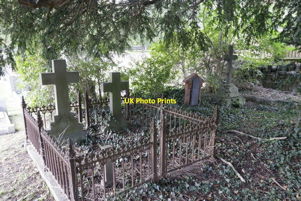 Photo 6"x4" Under the tree Drayton\/SU4794 c2017