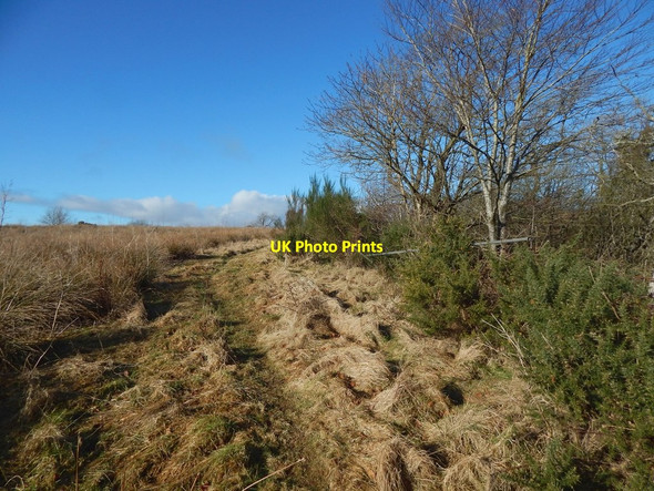 Photo 6"x4" Path at Garshake Dumbarton c2018