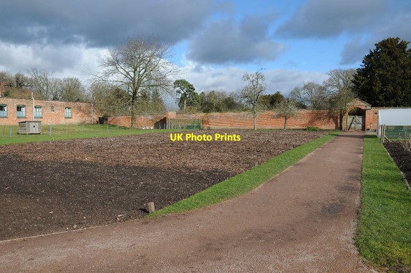 Photo 6"x4" The walled garden in winter Gallows Green\/SO9362 c2018